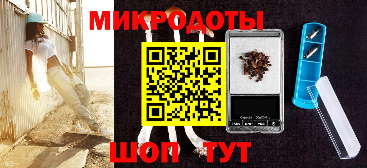 Снежинск  Псилоцибиновые грибы прущие грибы  Вход с VPN 