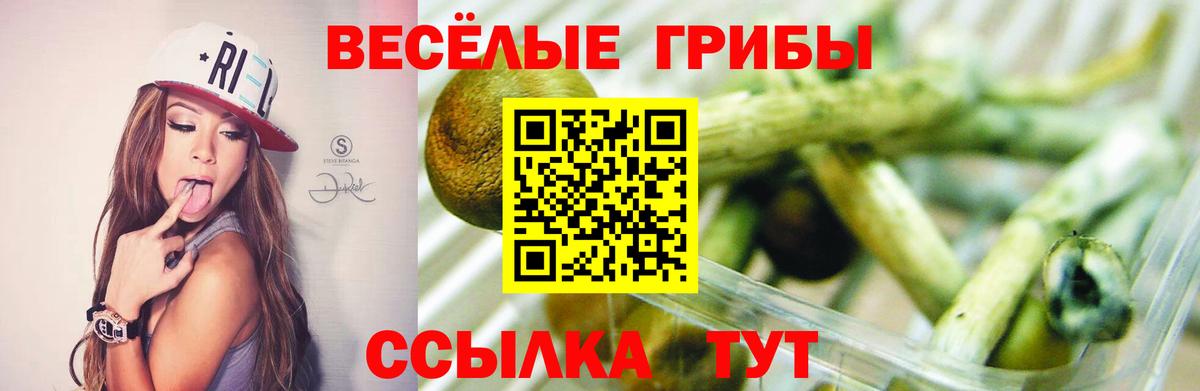 Галлюциногенные грибы ЛСД Снежинск